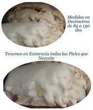 Zalea o Piel de Borrego Grande